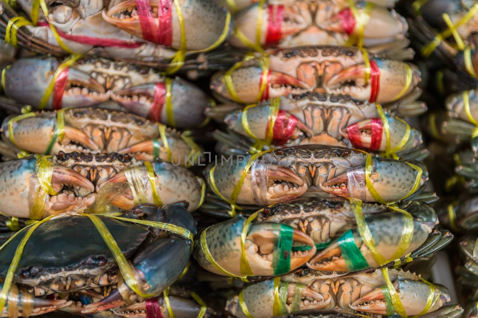 Closeup of sea crab in market