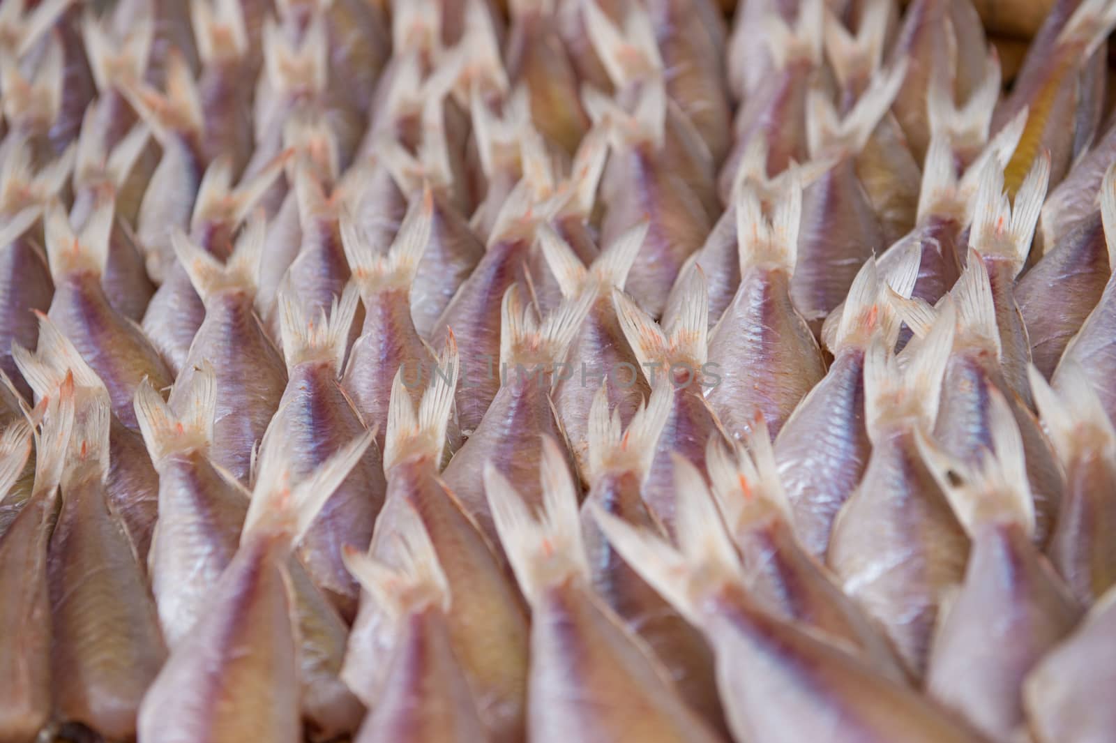 Closeup of dried fish preservation in food market
