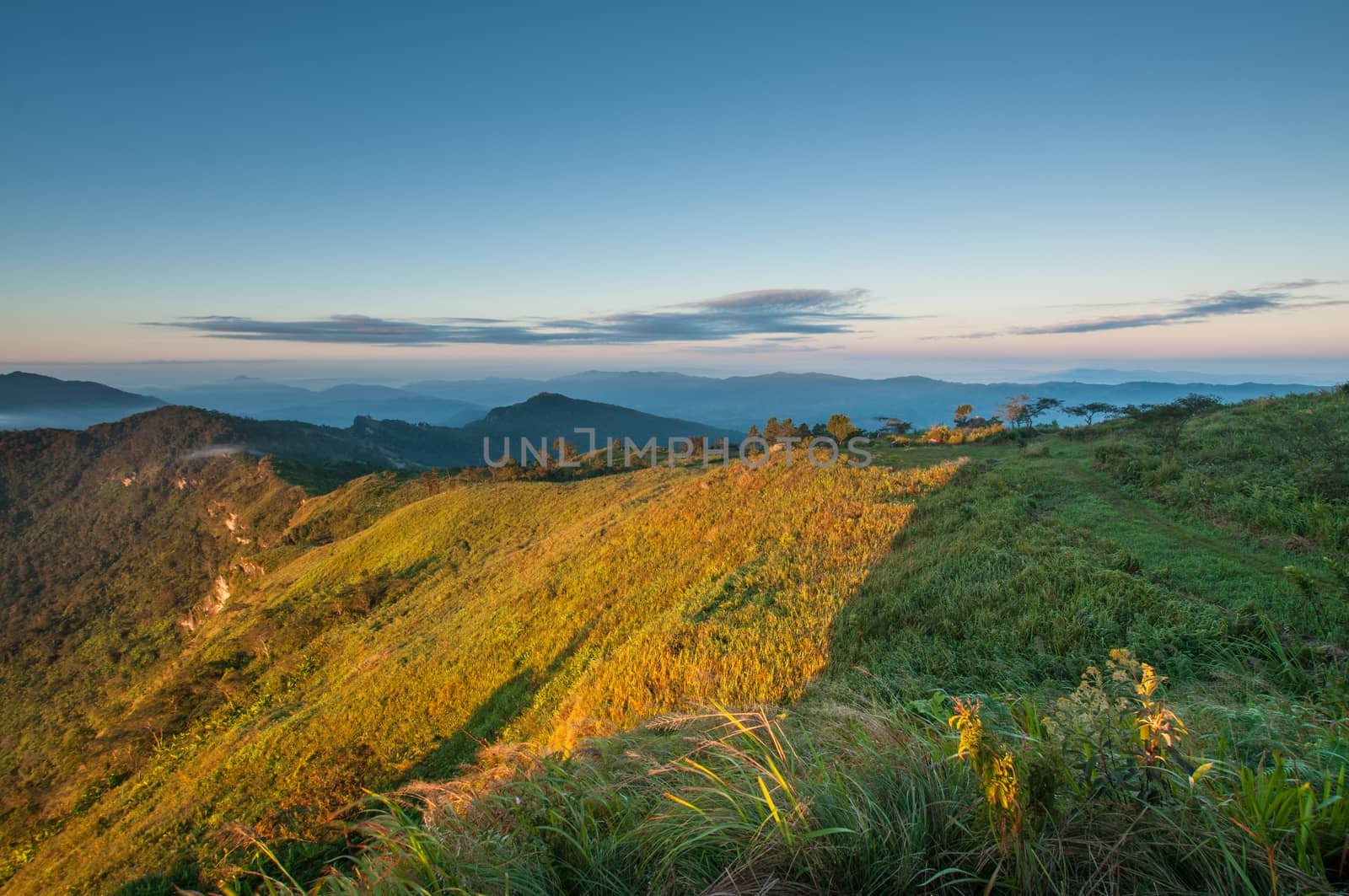 Phu Chi Fa mountain landscape with sunrise, Thailand