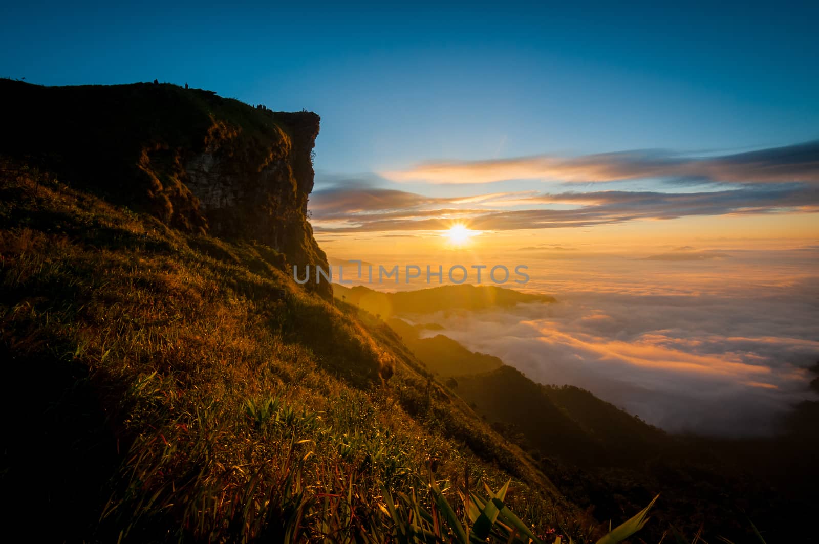 Phu Chi Fa mountain landscape with sunrise, Thailand