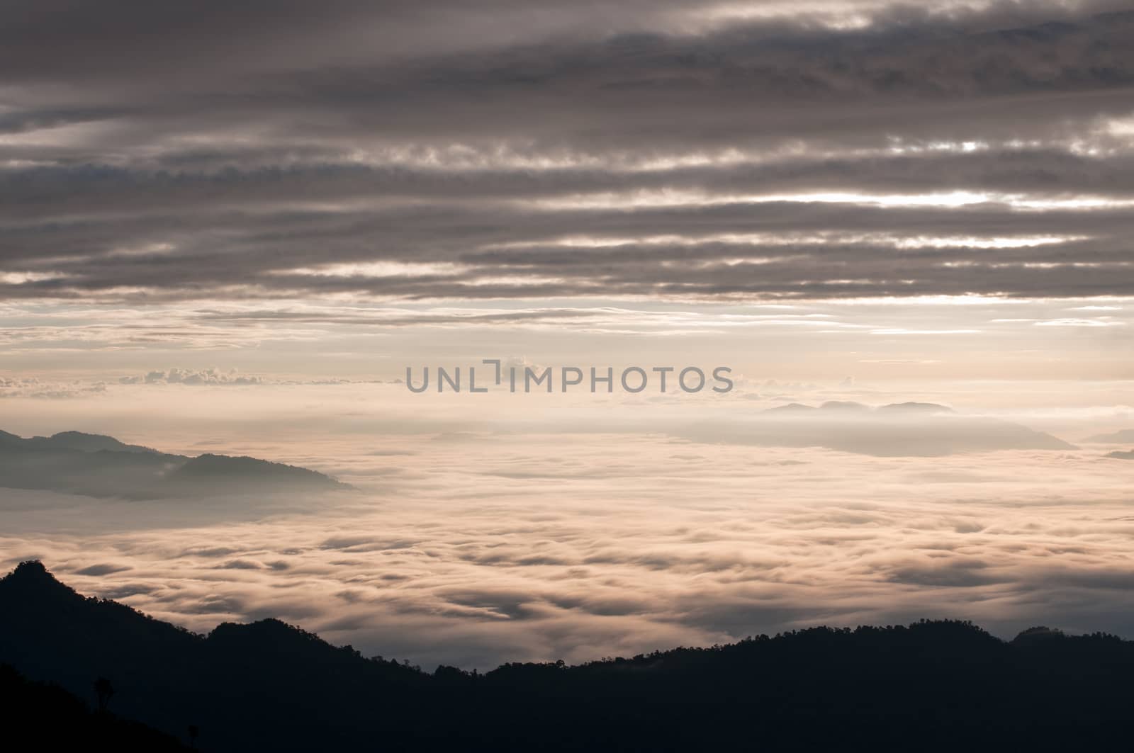 Foggy and mountain of Phu Chi Fa landscape, Thailand