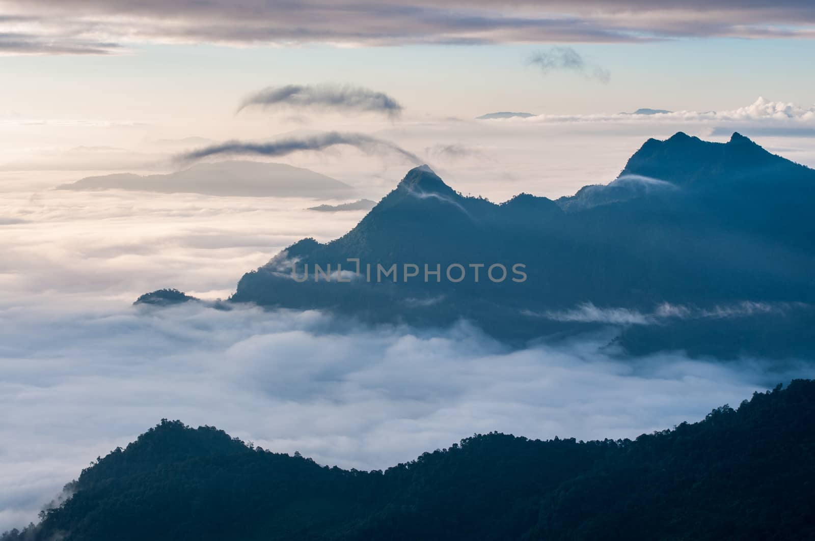 Foggy and mountain of Phu Chi Fa landscape, Thailand