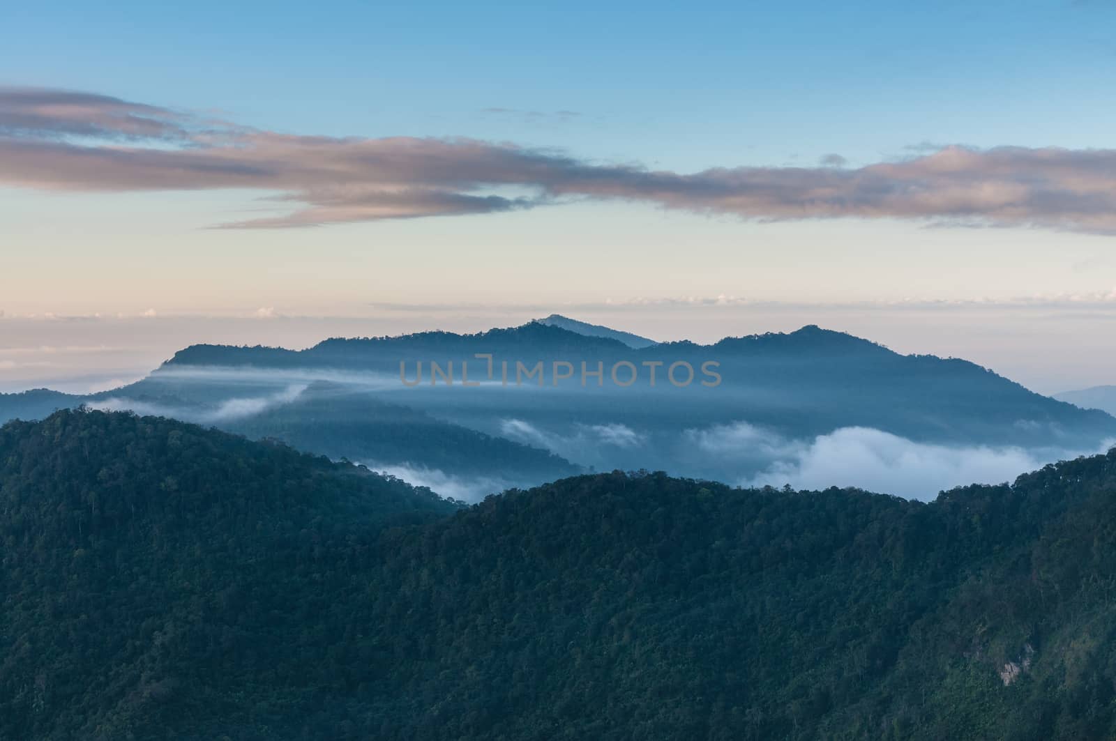 Foggy and mountain of Phu Chi Fa landscape, Thailand