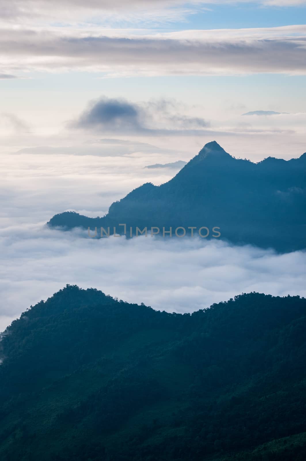 Foggy and mountain of Phu Chi Fa landscape, Thailand