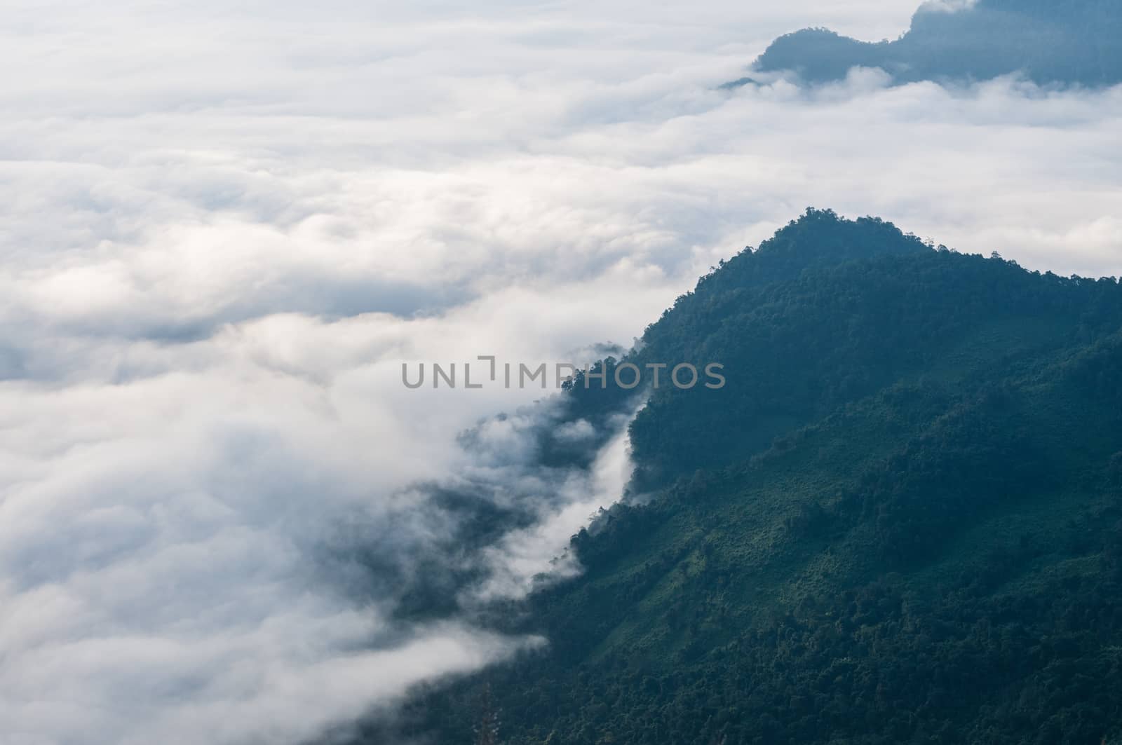 Foggy and mountain of Phu Chi Fa landscape, Thailand