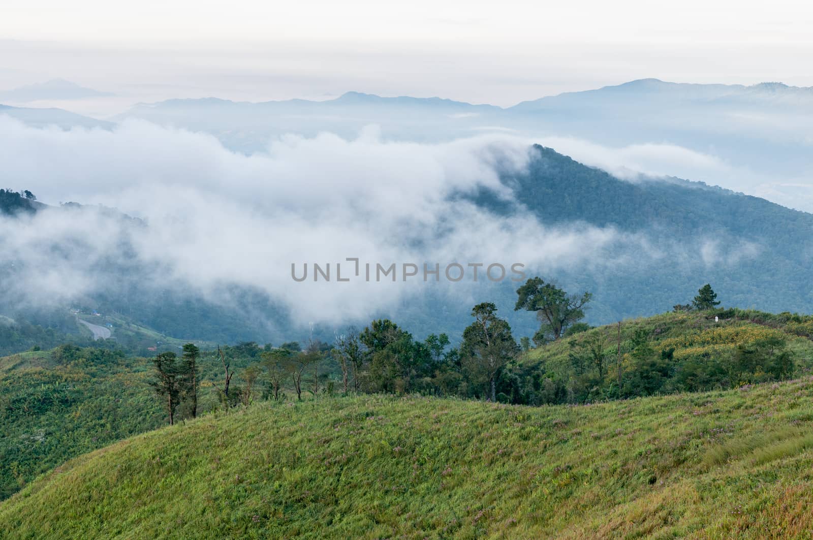 Foggy and mountain of Phu Chi Fa landscape, Thailand