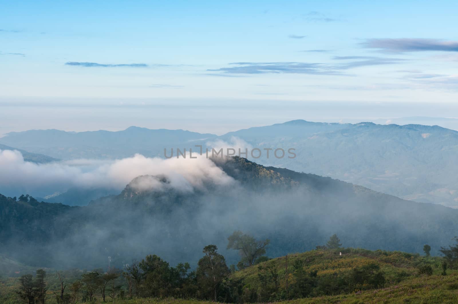 Foggy and mountain of Phu Chi Fa landscape, Thailand