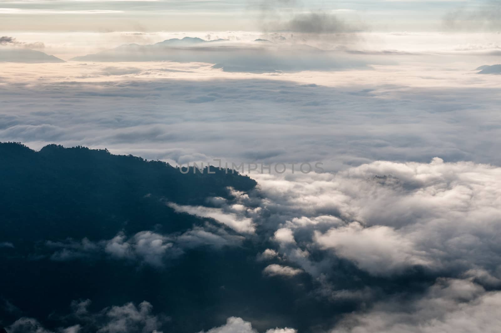 Foggy and mountain of Phu Chi Fa landscape, Thailand