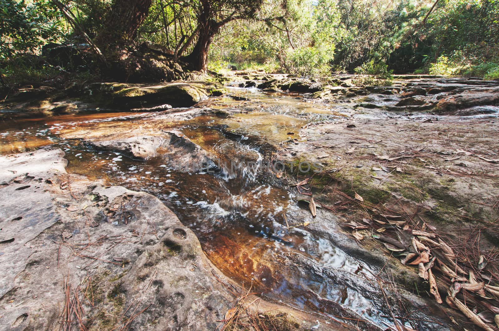 Waterfall in nature park landscape