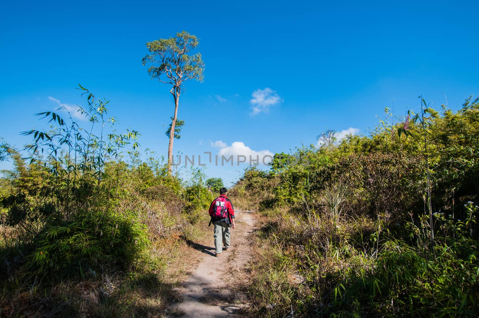 traveler walking on Mountain Landscape
