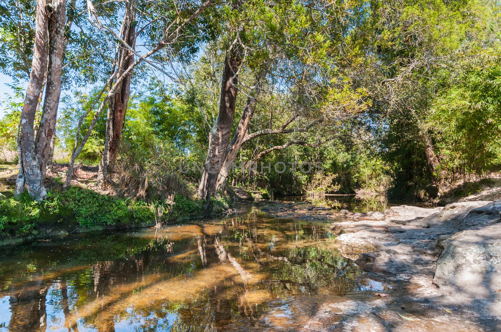 Waterfall in nature park landscape
