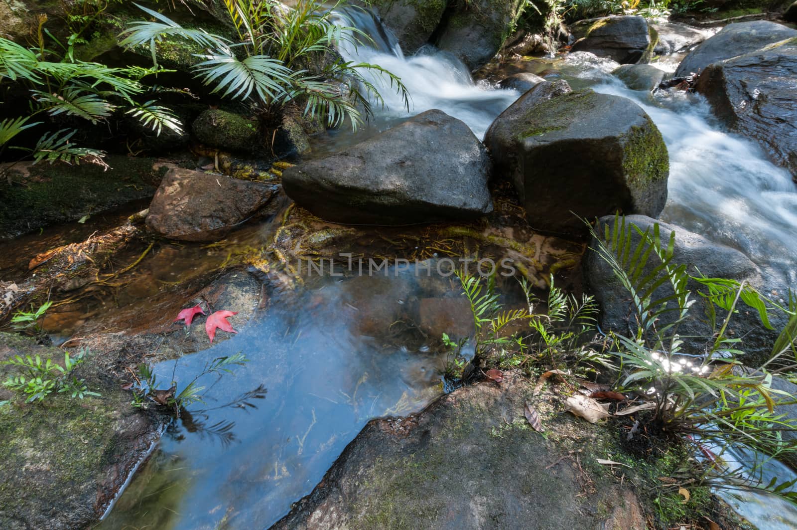 Closeup of waterfall in forest