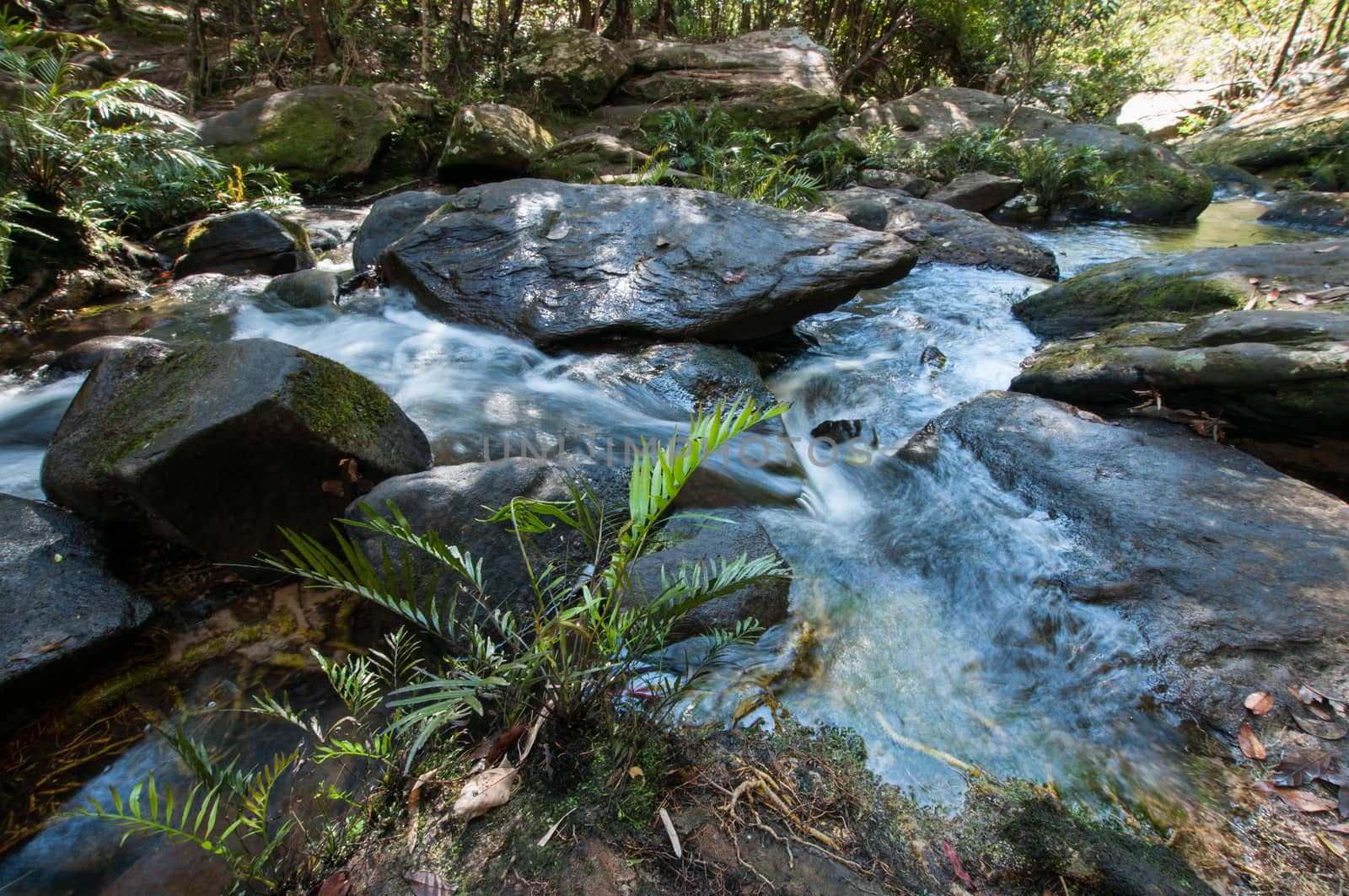 Closeup of waterfall in forest by sayhmog