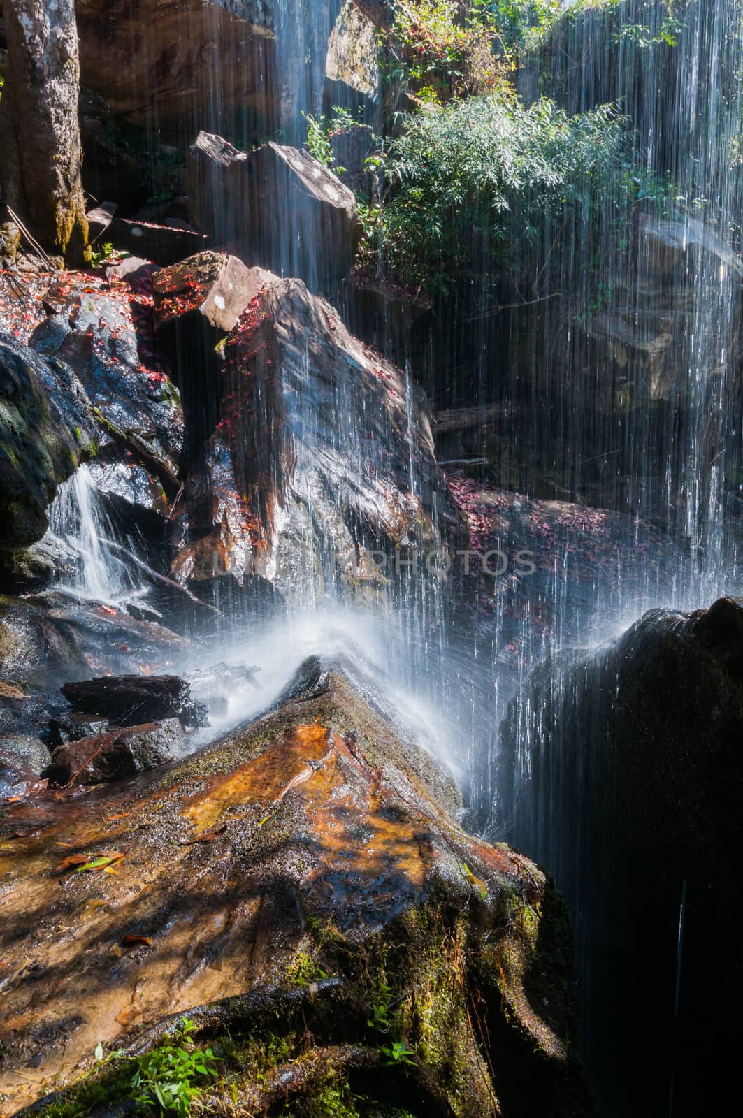 Closeup of waterfall and rock in forest