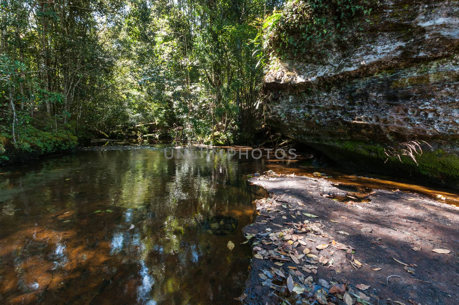 Pond of waterfall in Phu Kradueng National Park