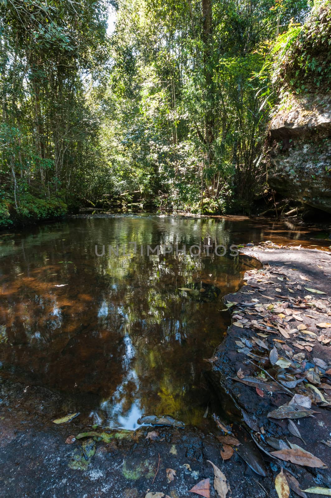 Pond of waterfall in Phu Kradueng National Park