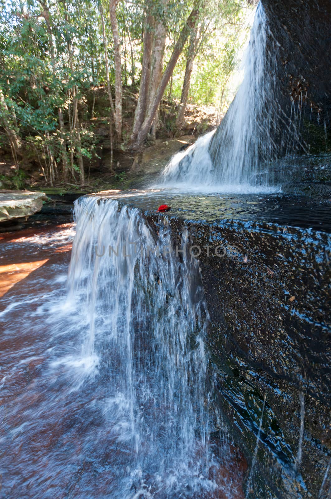 Landscape of waterfall in Phu Kradueng National Park, Thailand by sayhmog