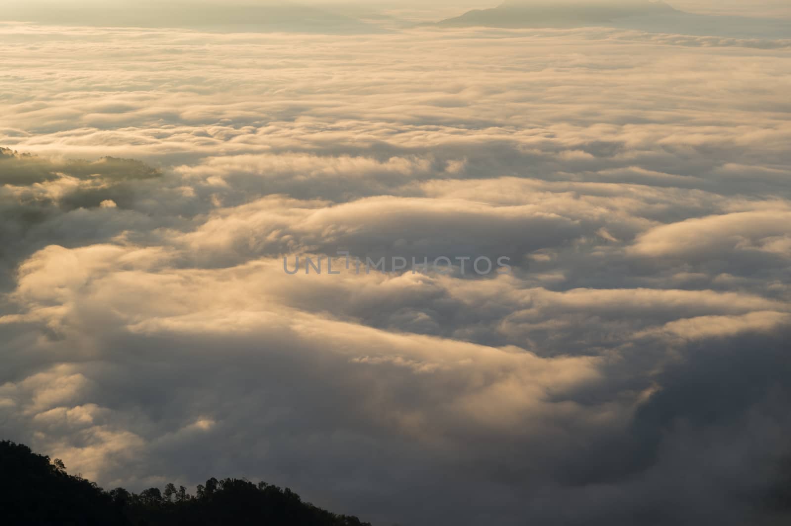 Phu Chi Fa mountain landscape with sunrise, Thailand