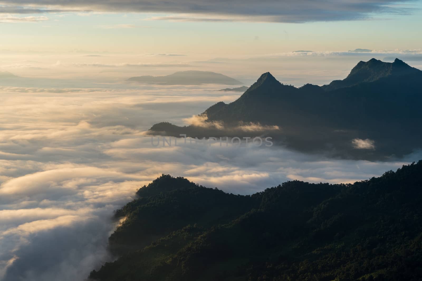 Phu Chi Fa mountain landscape with sunrise, Thailand by sayhmog