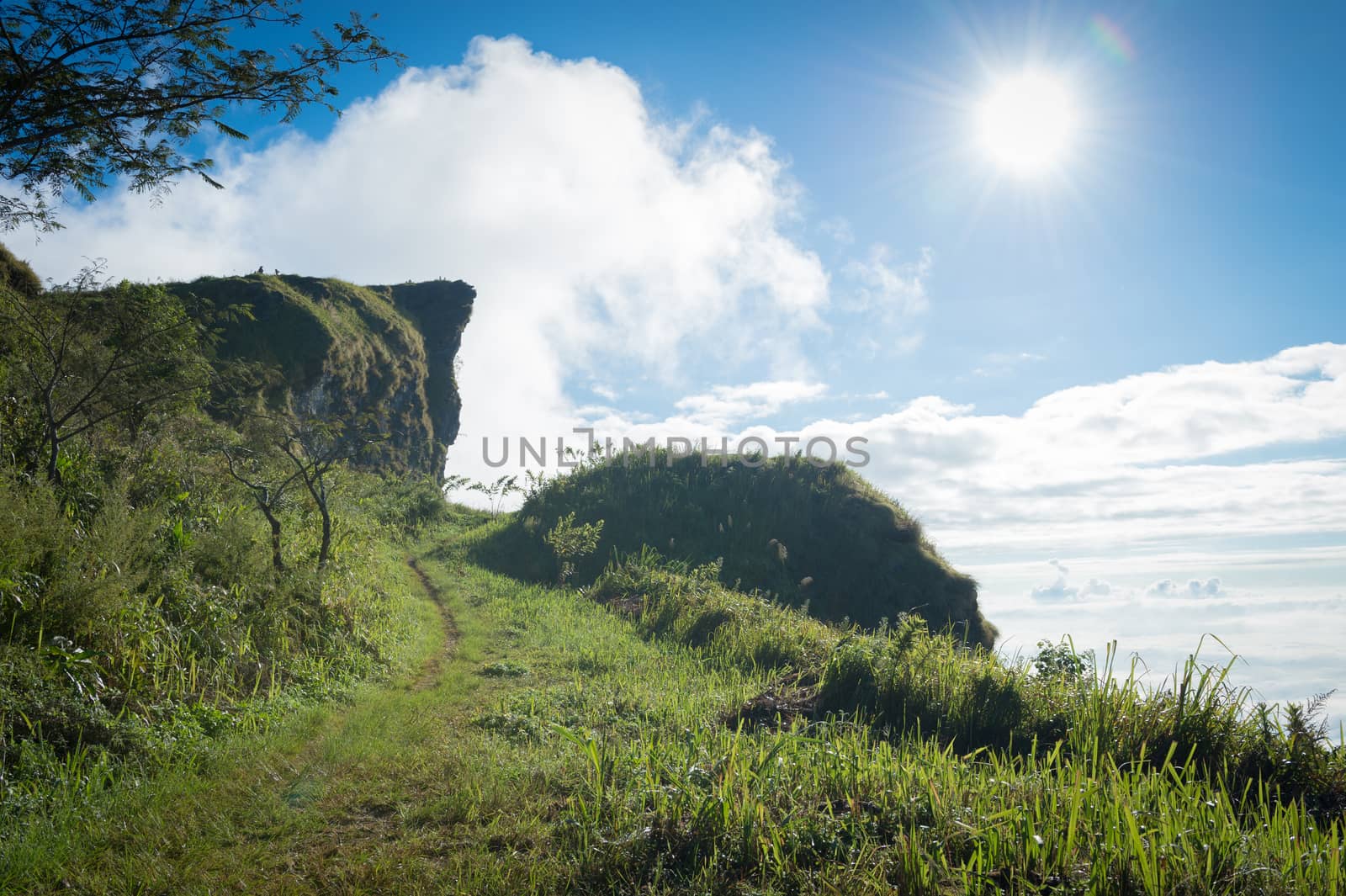 Phu Chi Fa mountain landscape with sunrise, Thailand by sayhmog