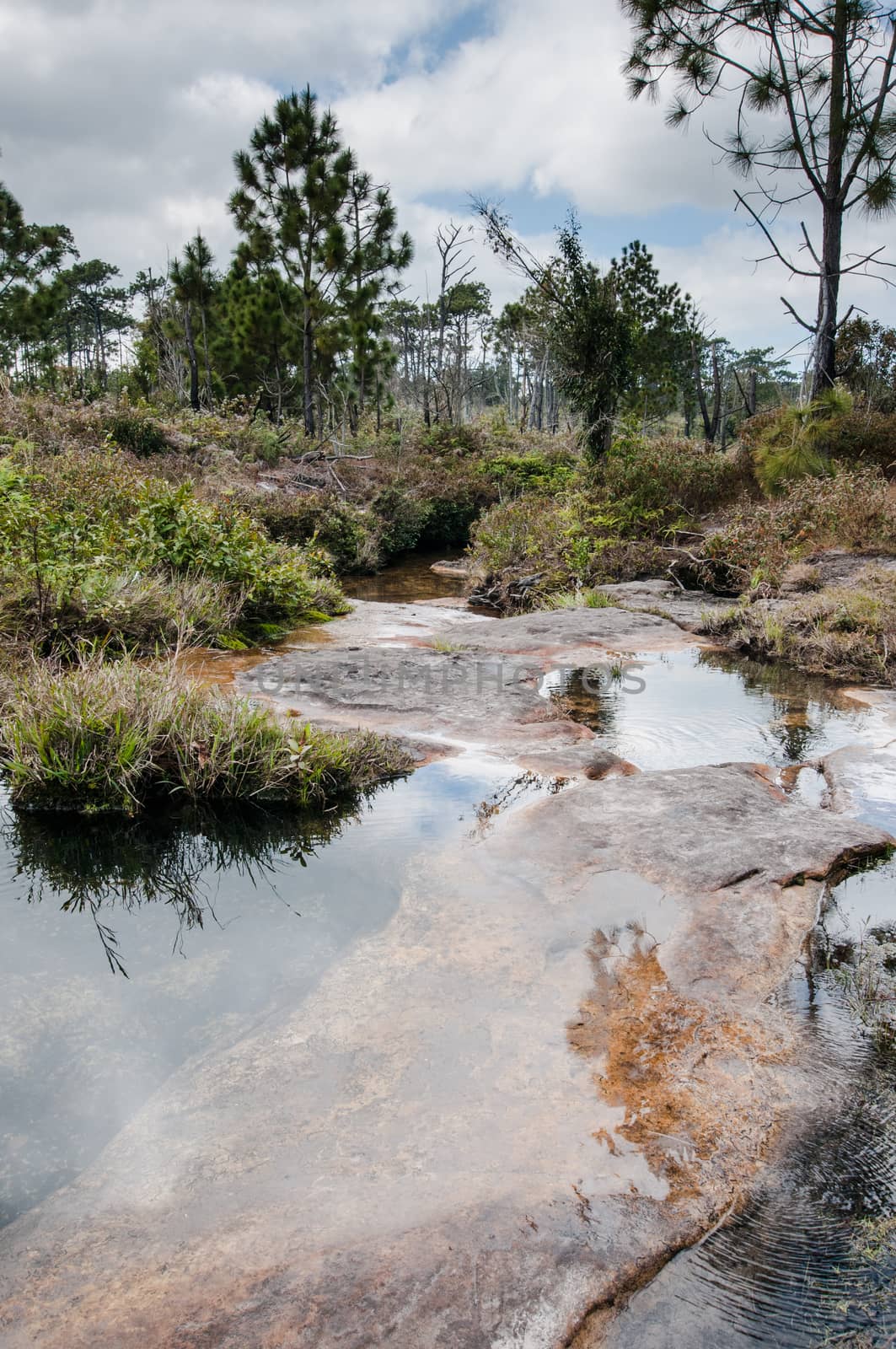 landscape of river on mountain