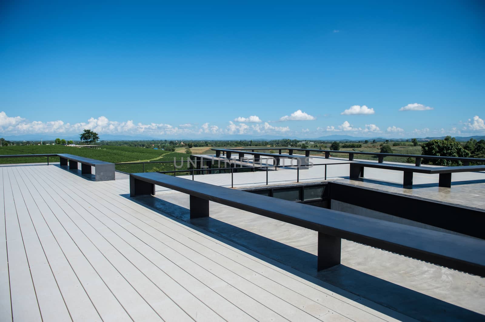 Style of roof design with tea field landscape