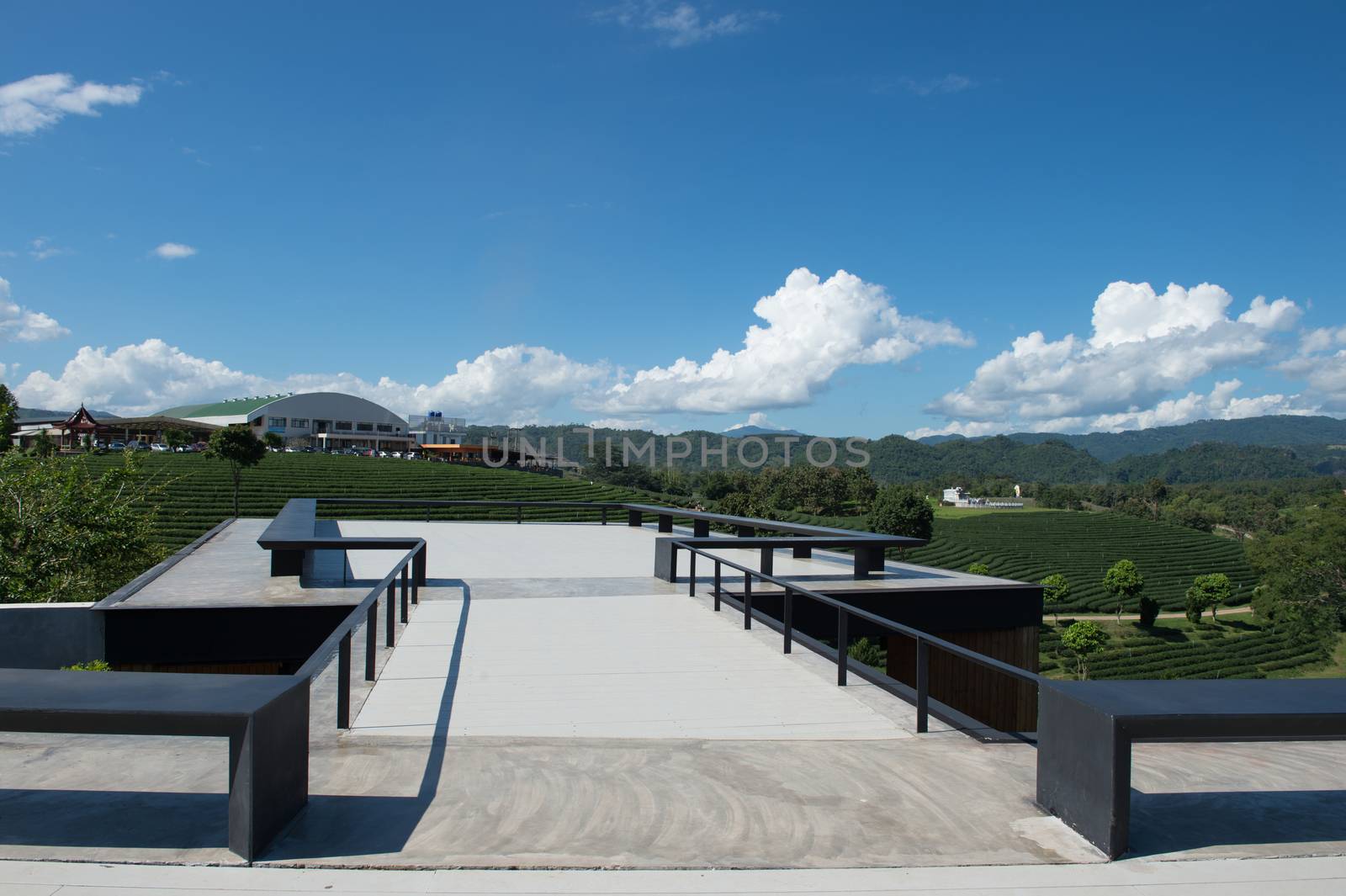 Style of roof design with tea field landscape  by sayhmog