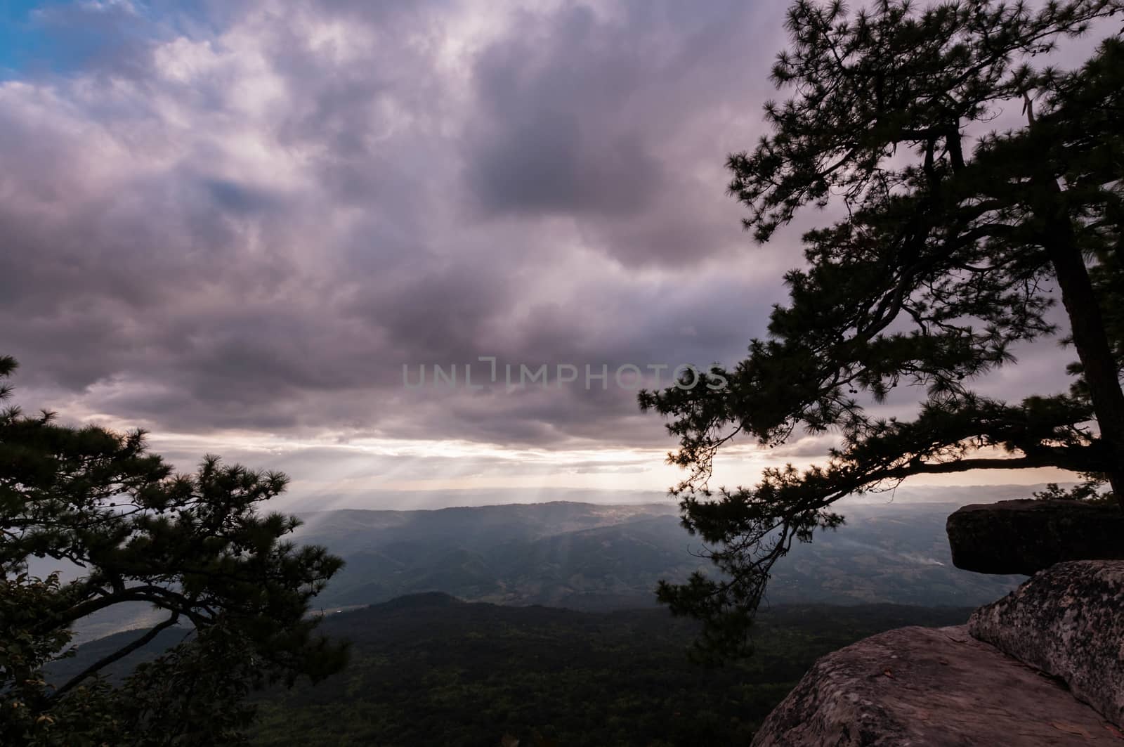 Landscape of Phu Kradueng National Park by sayhmog