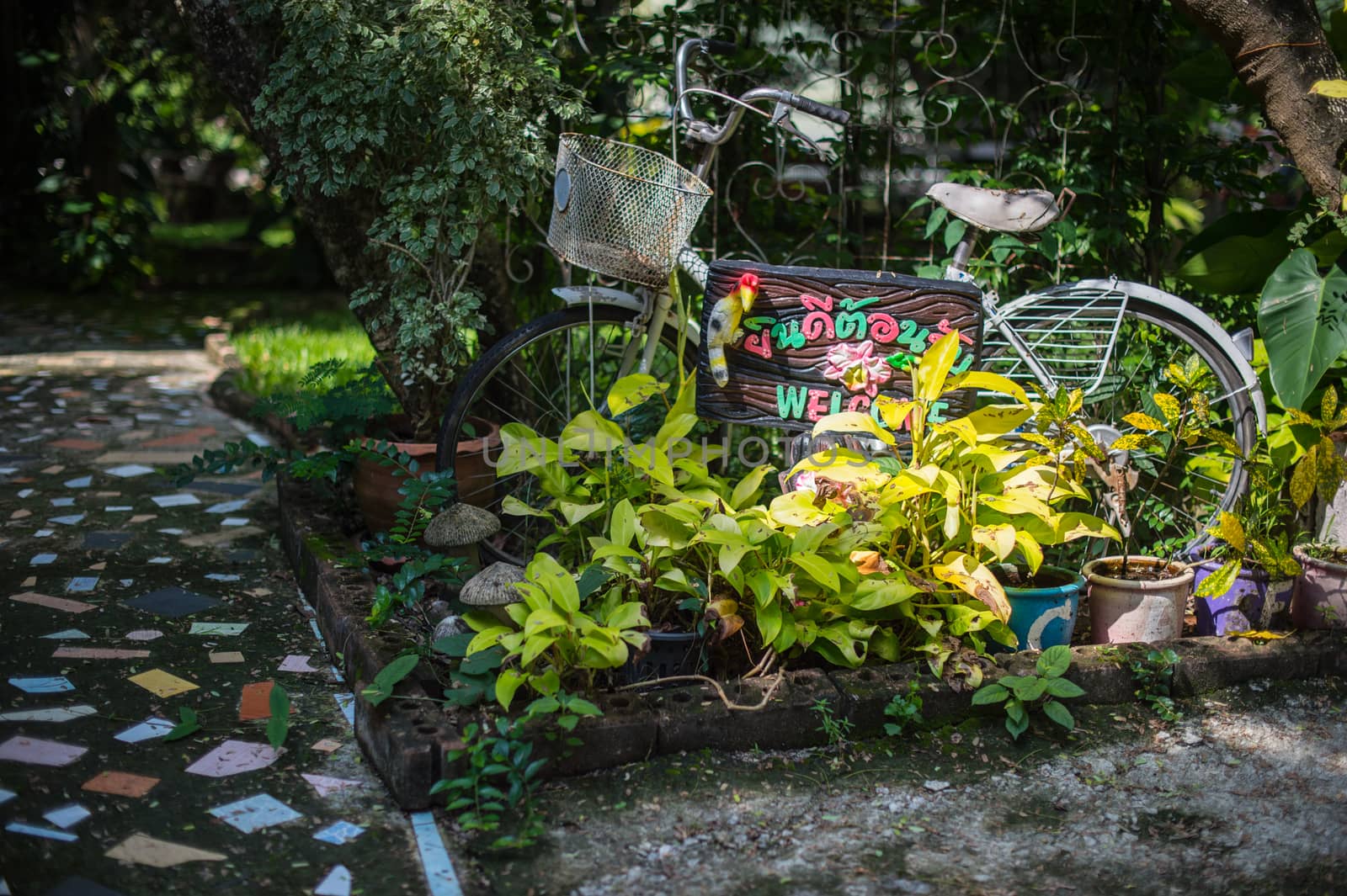 closeup of garden decoration by sayhmog