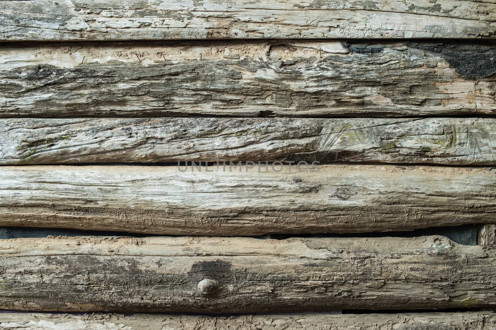 grunge of wood plank background