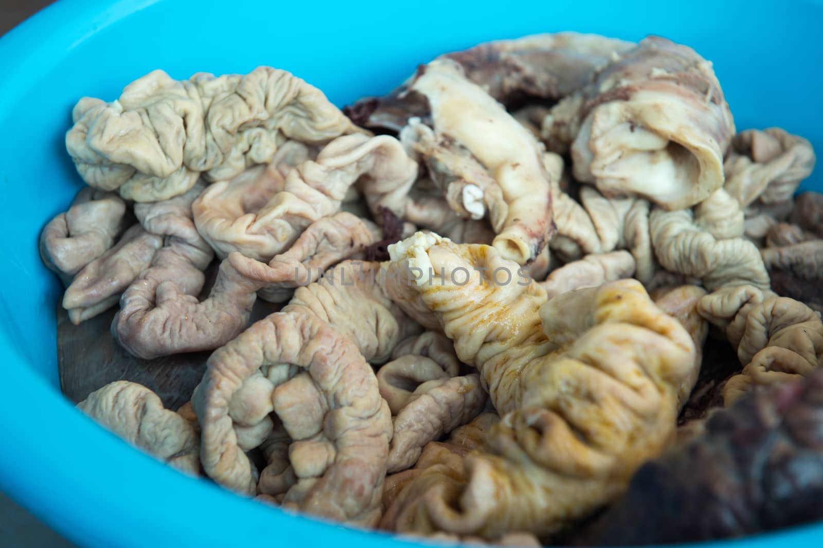 ingredient of intestine pig closeup by sayhmog