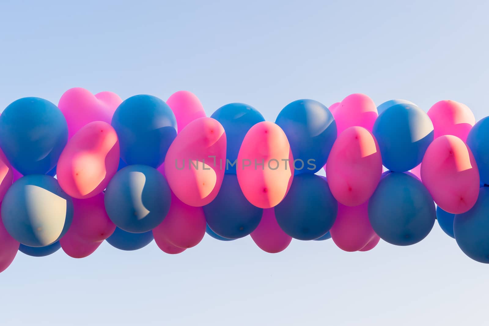 row of pink and blue balloon background