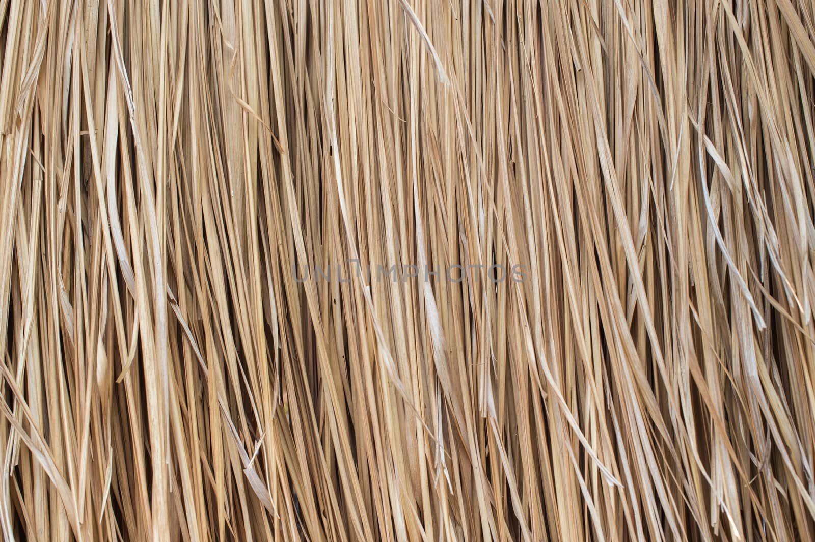 Pattern background of dry thatched grass