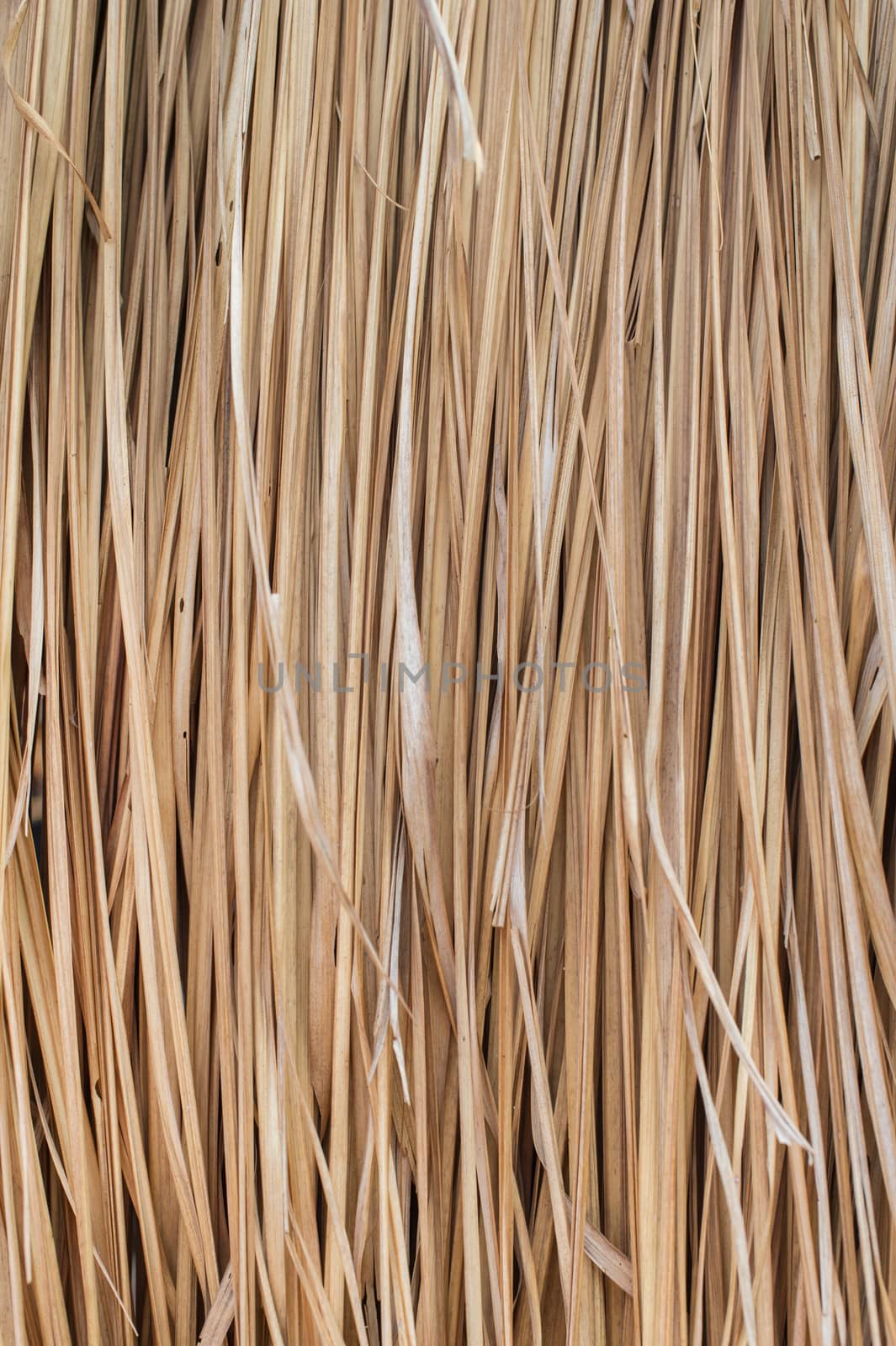 Pattern background of dry thatched grass