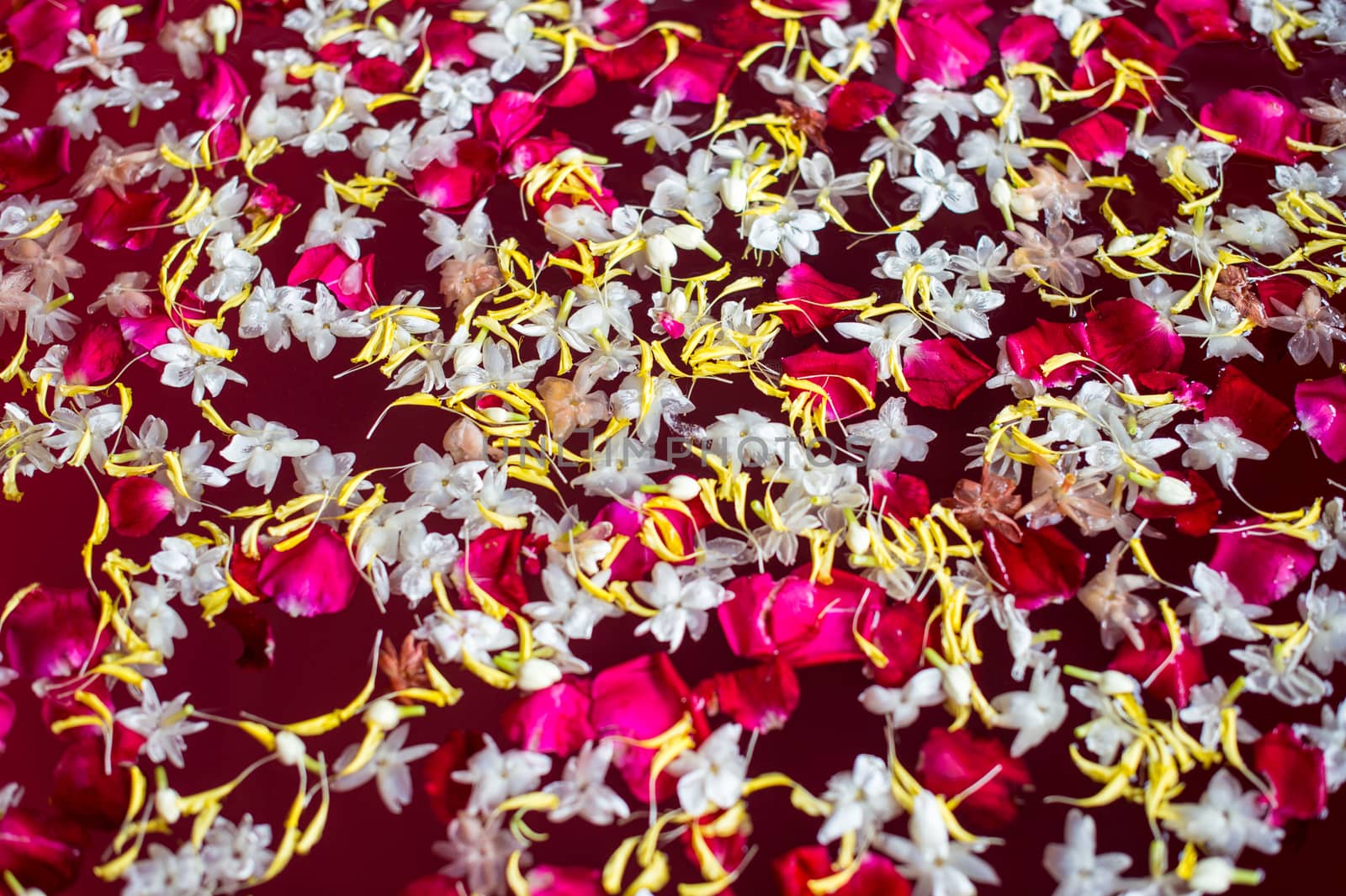 Abstract background of petal flower float on water