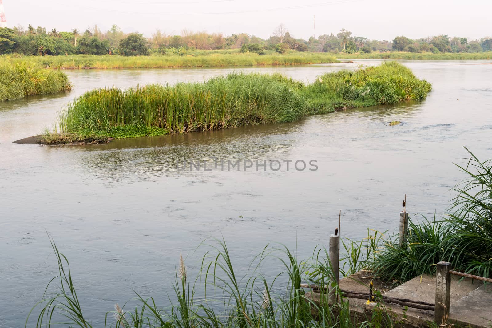 Morning time with river and grass landscape