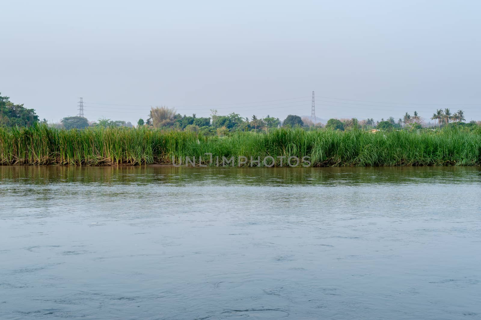 Morning time with river and grass landscape by sayhmog