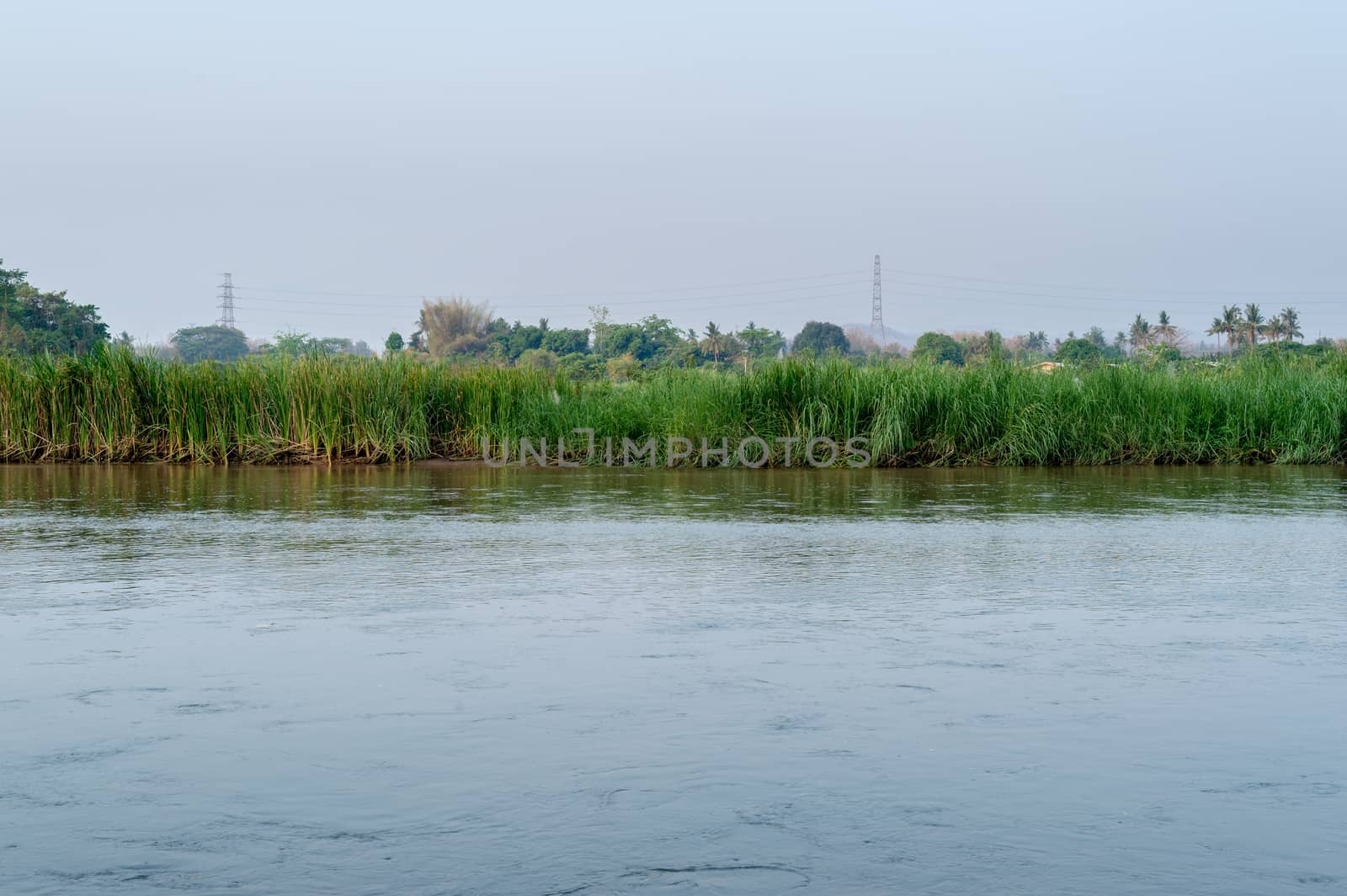 Morning time with river and grass landscape