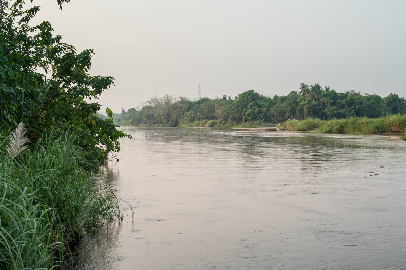 Morning time with river and grass landscape by sayhmog