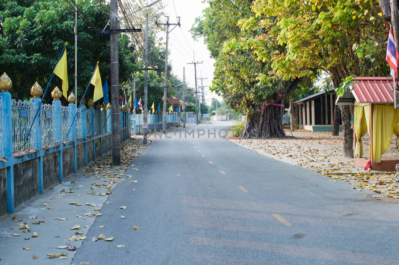 Road of countryside landscape