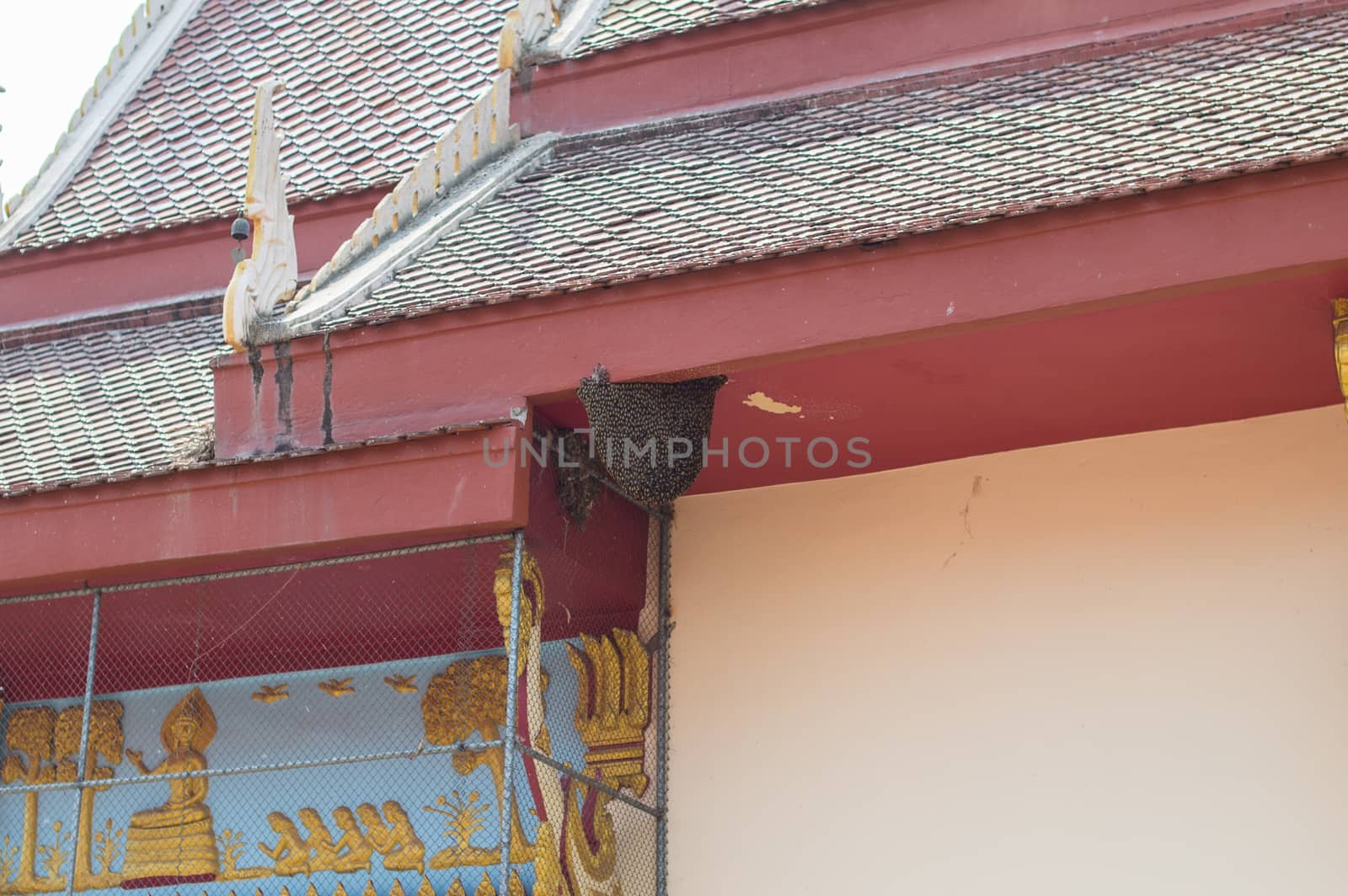 Closeup of beehive or honeycomb on temple eaves