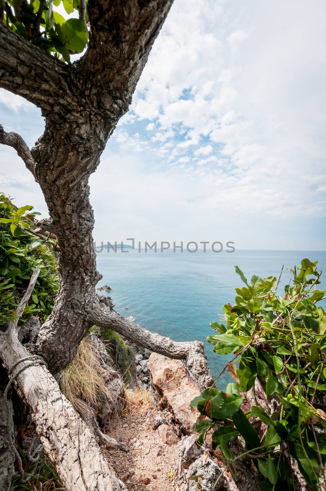 Tree branch and ocean landscape of Laem Sing hill scenic point by sayhmog