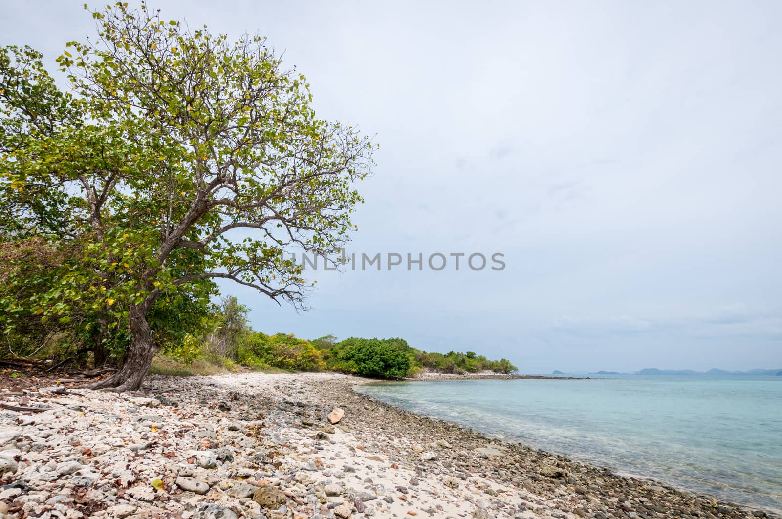 Landscape of sea beach with clouds sky