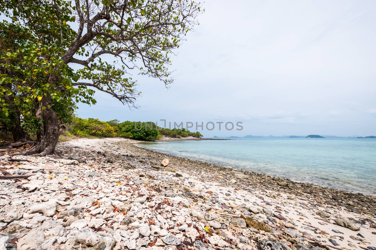 Landscape of sea beach with clouds sky