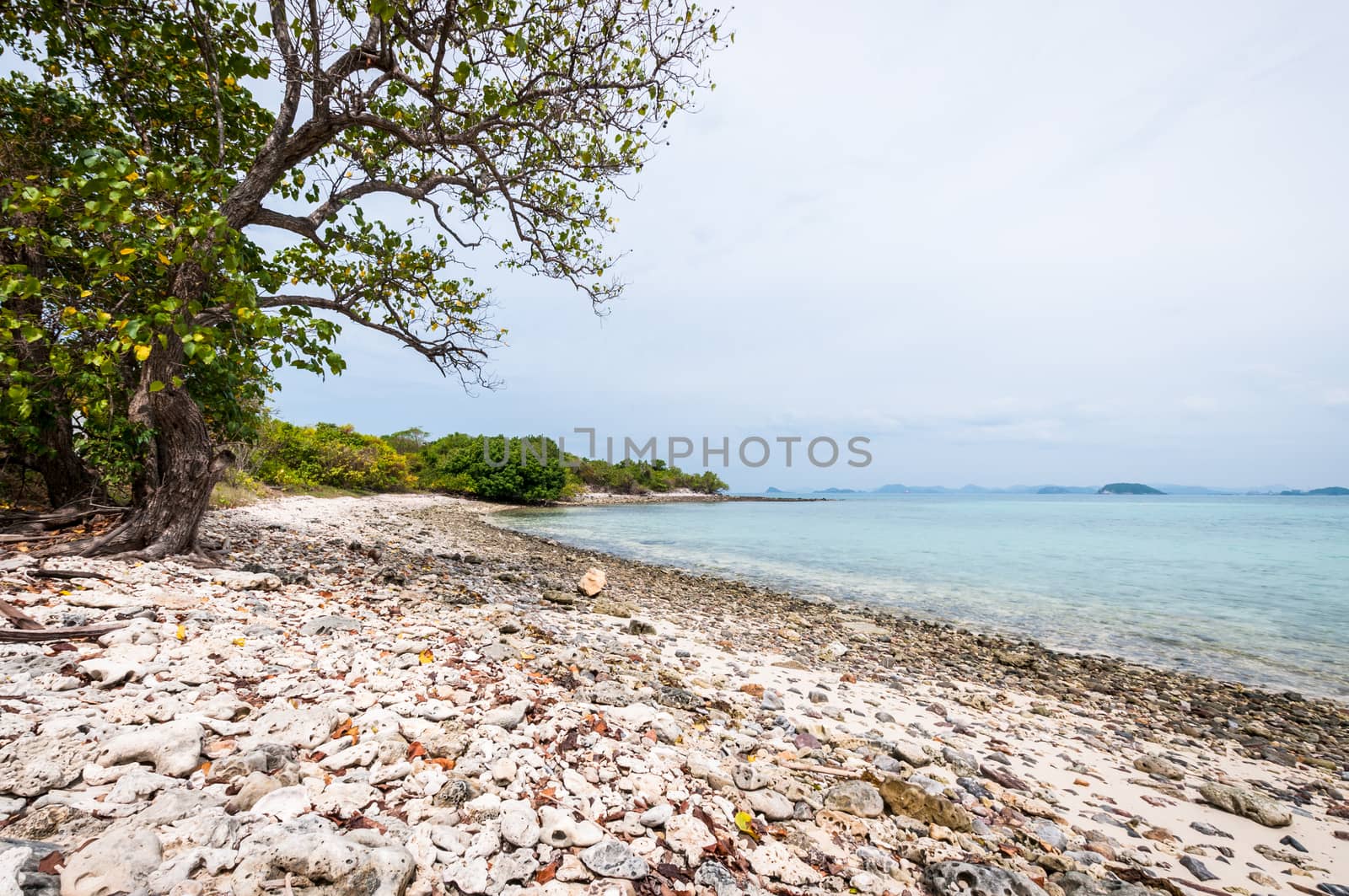 Landscape of sea beach with clouds sky by sayhmog