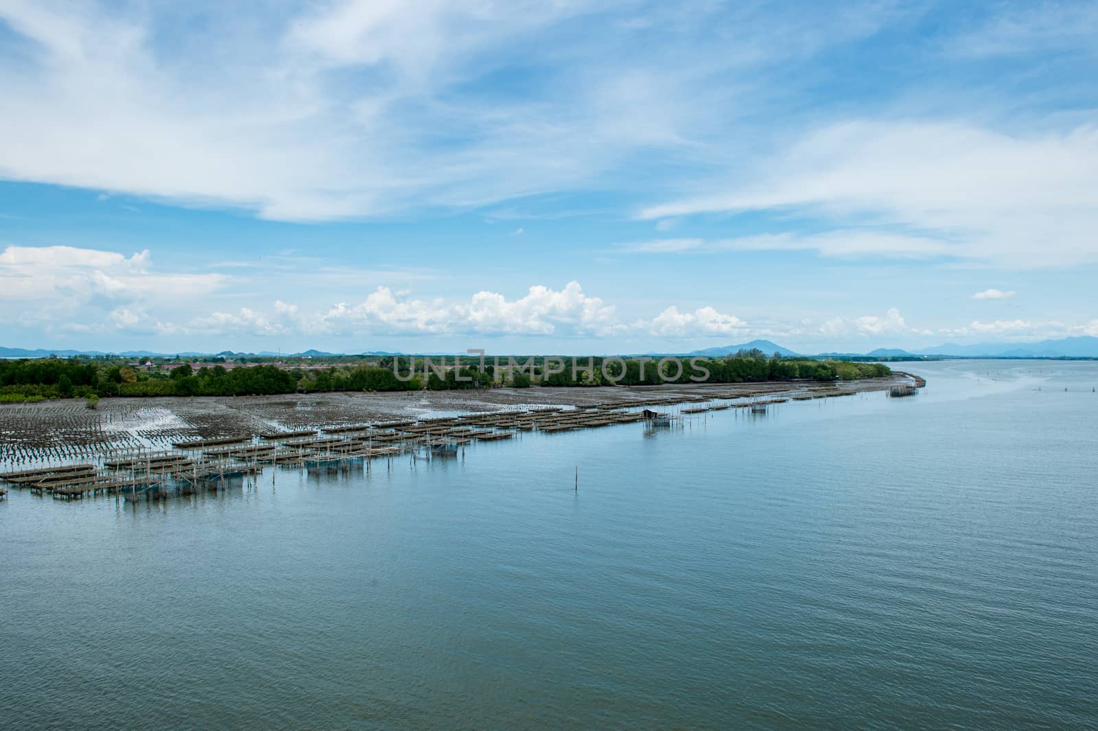 Fisherman's farm on the sea landscape