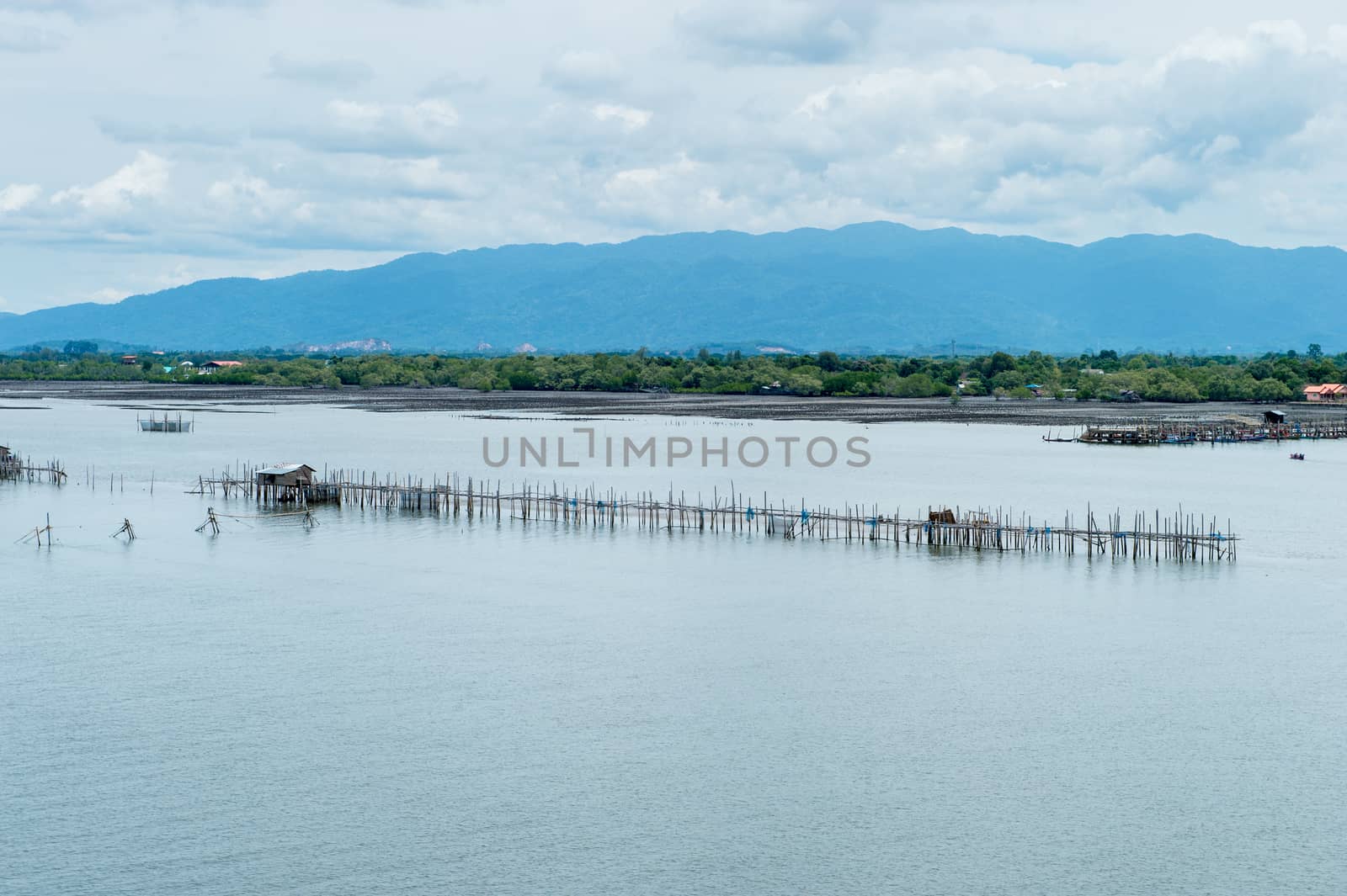 Fisherman's farm on the sea landscape