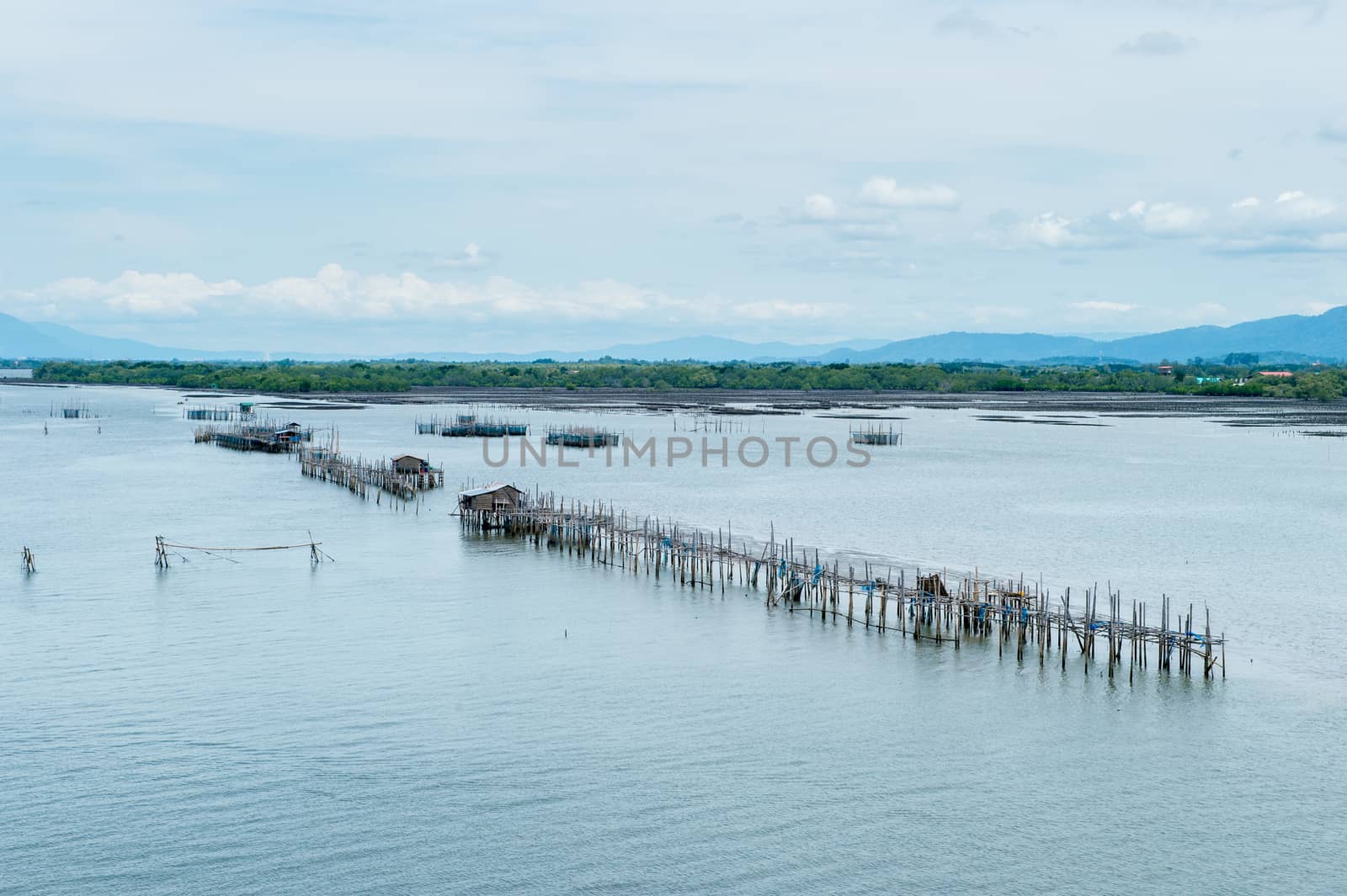 Fisherman's farm on the sea landscape