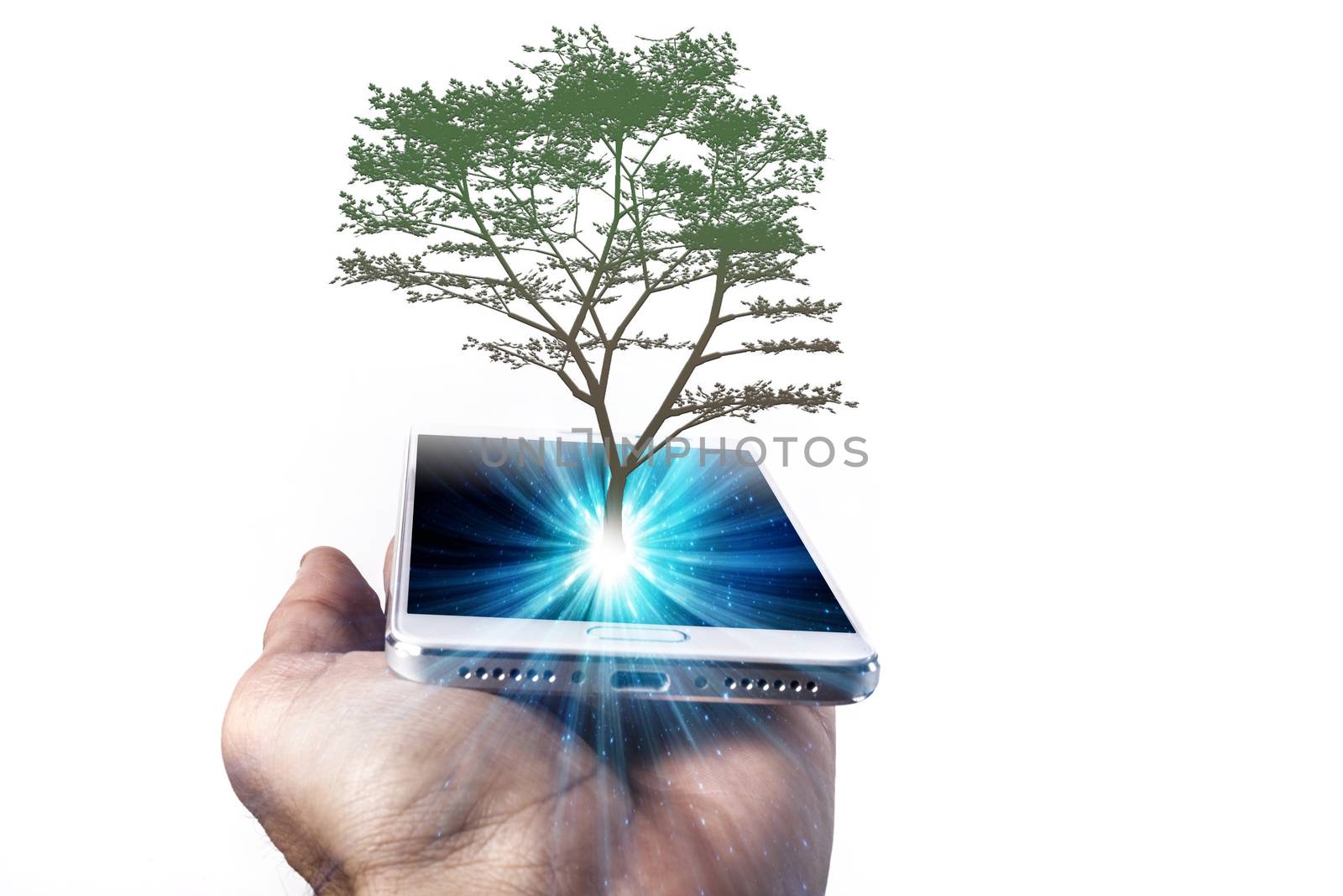 Phone and tree in hand isolated on white background