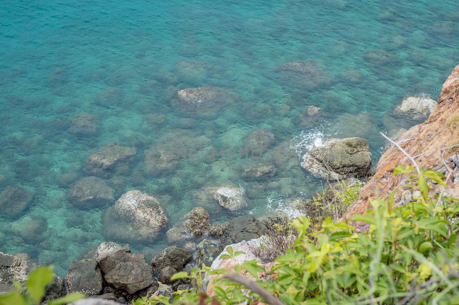 Closeup of reef on the sea background by sayhmog